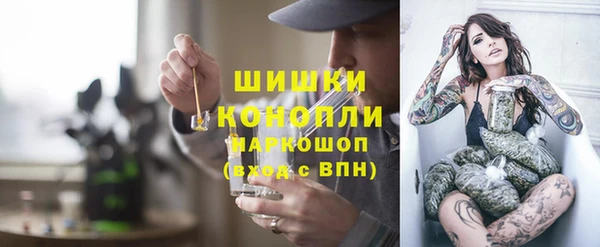 прущие грибы Медногорск