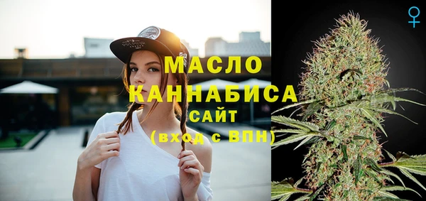 прущие грибы Медногорск