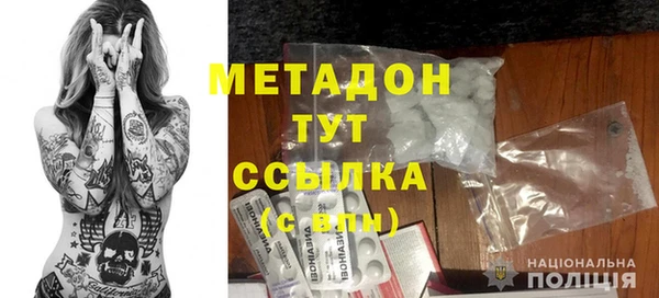 прущие грибы Медногорск