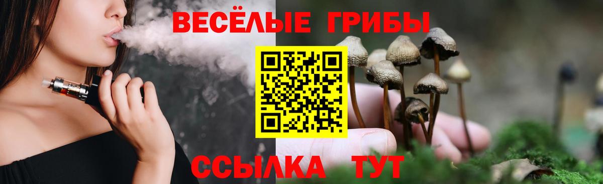 Галлюциногенные грибы GOLDEN TEACHER Канаш